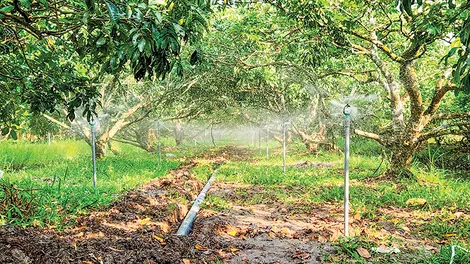 Gần 16 tỉ đồng phục vụ cơ giới hóa; chế biến nông lâm, thủy sản và xây dựng vùng sản xuất nông nghiệp tập trung