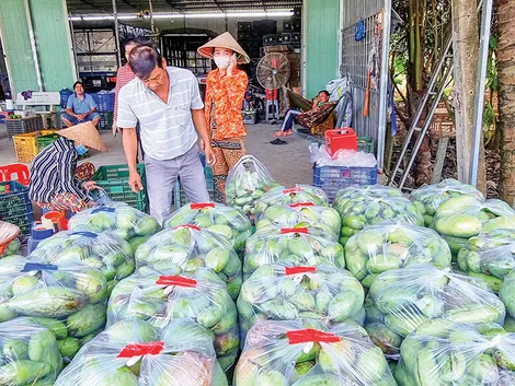 Dạo quanh thị trường