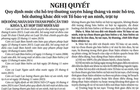 NGHỊ QUYẾT  Quy định mức chi hỗ trợ thường xuyên hằng tháng và mức hỗ trợ, bồi dưỡng khác đối với Tổ bảo vệ an ninh, trật tự