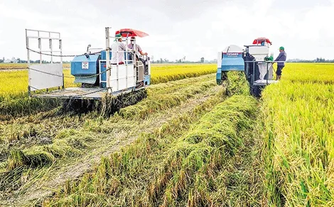 Mô hình thí điểm thành công, thuận lợi nhân rộng