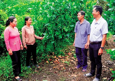 Ðiểm tựa của người nghèo