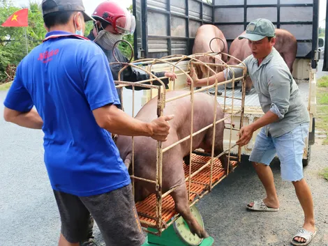 Dạo quanh thị trường