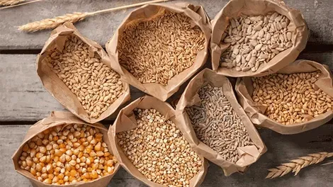 Chất xơ giúp giảm cân tốt hơn thuốc