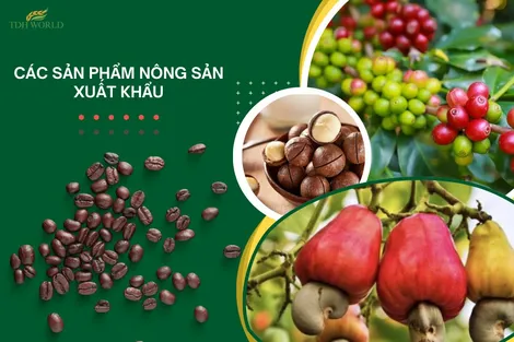 TDH World - Công ty nông sản xuất khẩu uy tín tại Việt Nam