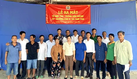 Ra mắt mô hình Dân vận khéo Tổ hợp tác trồng sầu riêng