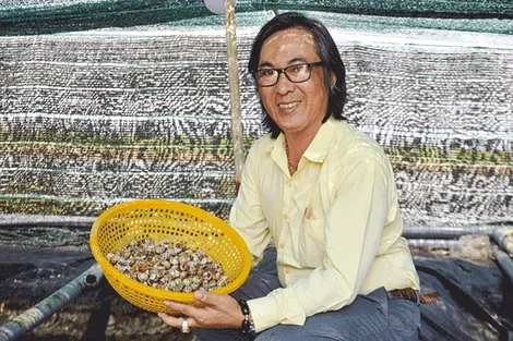 Mô hình nuôi ốc hương biển ở Bạc Liêu