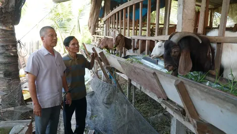 Năng động lãnh đạo phát triển kinh tế - xã hội