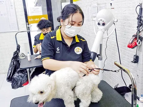 Nở rộ dịch vụ chăm sóc thú cưng