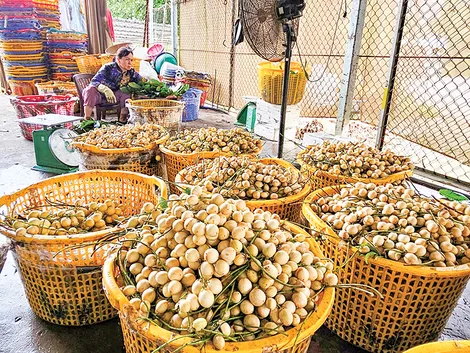 Dạo quanh thị trường