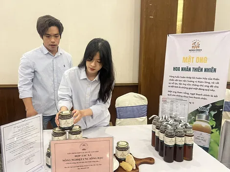 Tăng thu nhập từ mô hình nuôi ong mật kết hợp làm vườn