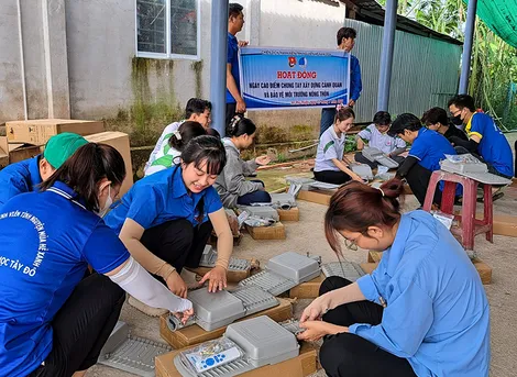 Hè tình nguyện