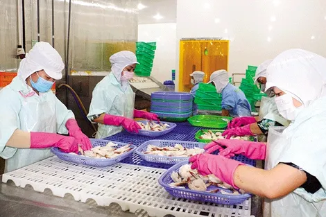 EVFTA thúc đẩy hợp tác giữa Việt Nam với châu Âu