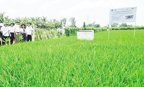 Nông nghiệp thông minh đột phá từ công nghệ 5.0