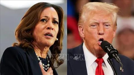 Ông Trump mất 4 điểm tại 3 bang trọng yếu trong các cuộc thăm dò dư luận