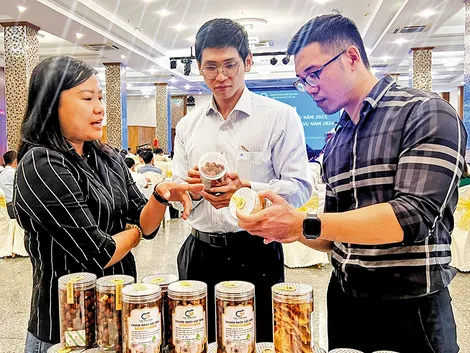 Phấn đấu năm 2025, doanh thu bình quân mỗi hợp tác xã đạt 4,4 tỉ đồng/năm