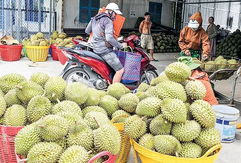 Dạo quanh thị trường