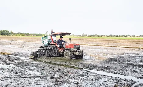 Thúc đẩy cơ giới hóa, ứng dụng khoa học công nghệ trong nông nghiệp