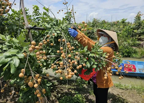 Nỗ lực tạo đầu ra thuận lợi cho thanh nhãn