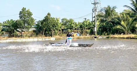 Hơn 2,6 tỉ đồng thực hiện phòng, chống dịch bệnh gia súc, gia cầm và thủy sản