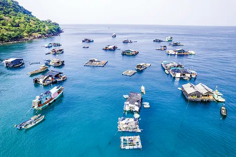 Khai thác nghề nuôi biển để làm giàu