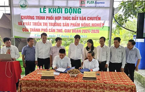 Phối hợp thúc đẩy vận chuyển và phát triển thị trường sản phẩm nông nghiệp của TP Cần Thơ