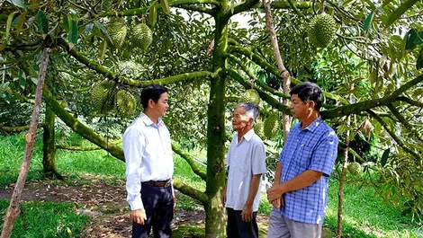 Phong Ðiền tập trung mục tiêu xây dựng nông thôn mới nâng cao, kiểu mẫu