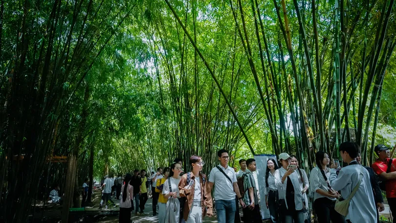 Giao lưu về văn hóa tre ở vùng đất phương Nam tại Vườn tre Tư Sang
