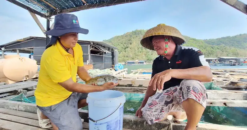 Làm giàu từ mô hình nuôi cá trong bè trên biển