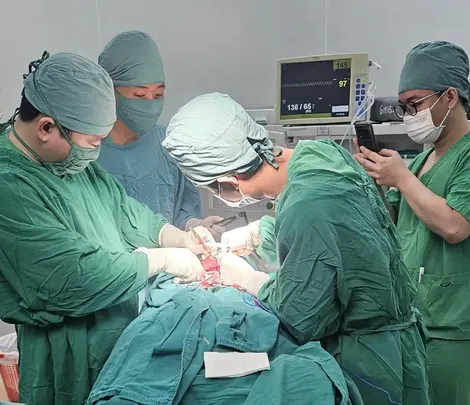 Bị chó cắn, cụ ông 71 tuổi nhập viện tái tạo mũi