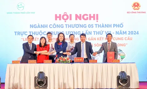 Liên kết phát triển thương mại gắn kết nối cung - cầu giữa 5 thành phố trực thuộc Trung ương và ÐBSCL