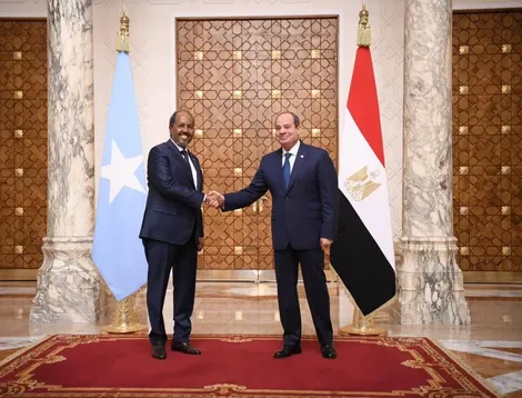 Căng thẳng ở Somalia và Sừng châu Phi