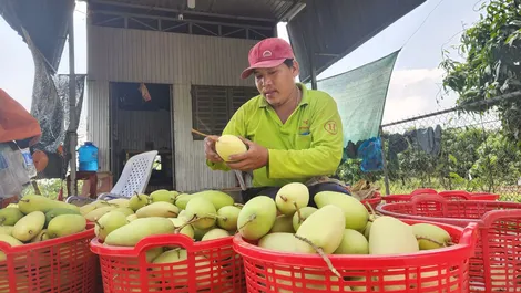 Chạy nước rút cho mục tiêu 
xây dựng nông thôn mới năm 2024