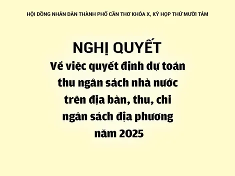 NGHỊ QUYẾTVề việc quyết định dự toán thu ngân sách nhà nước trên địa bàn, thu, chi ngân sách địa phương năm 2025