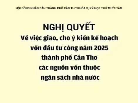 NGHỊ QUYẾTVề việc giao, cho ý kiến kế hoạch vốn đầu tư công năm 2025 thành phố Cần Thơ các nguồn vốn thuộc ngân sách nhà nước
