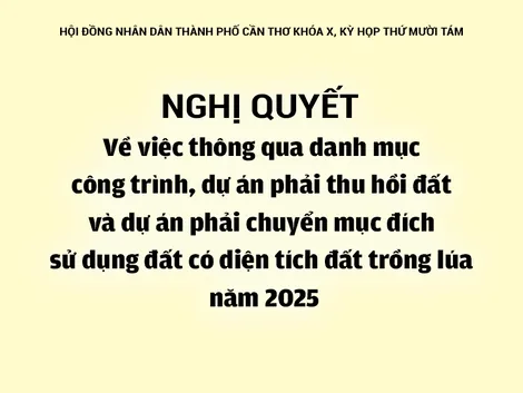 NGHỊ QUYẾTVề việc thông qua danh mục công trình, dự án phải thu hồi đất và dự án phải chuyển mục đích sử dụng đất có diện tích đất trồng lúa năm 2025