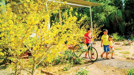 Về quê ăn Tếtsự mầu nhiệm của cuộc đời