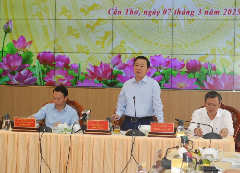 Phó Thủ tướng Trần Hồng Hà chủ trì hội nghị về sản xuất, thị trường lúa gạo và phòng chống hạn mặn vùng ĐBSCL