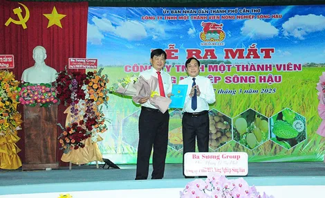 Chuyển đổi Nông trường Sông Hậu thành Công ty TNHH MTV