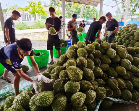 Dạo quanh thị trường