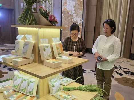 Thưởng tiền cho doanh nghiệp liên kết trồng lúa giảm phát thải