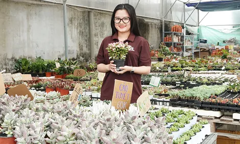Khởi nghiệp từ đam mê