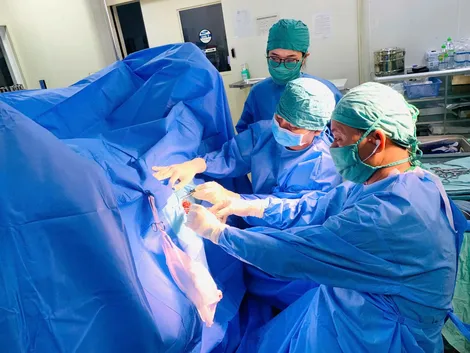 Ăn thịt rắn nuốt trọng xương, người phụ nữ nhập viện cầu cứu bác sĩ