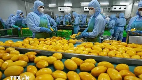 Nhật Bản đánh giá cao vai trò địa chiến lược của Việt Nam trong Sách Xanh Ngoại giao 2025