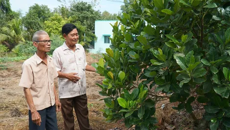 Giúp đồng bào dân tộc Khmer ở Thới Xuân thêm no ấm