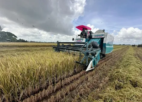 Hoàn thành “mục tiêu kép”: nâng thu nhập, giảm nghèo trong xây dựng nông thôn mới 