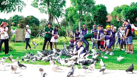 Phong Ðiền hoạt động thương mại, dịch vụ duy trì tăng trưởng