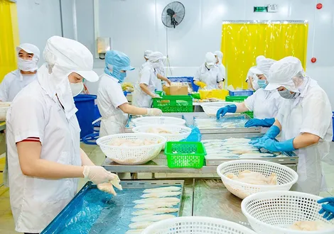 Thúc đẩy hợp tác xã chuyển đổi sản xuất xanh, phát triển bền vững