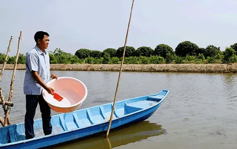 Làm giàu nhờ nuôi cá