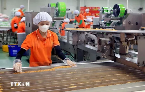 Nhận diện các luận điệu xuyên tạc chủ trương của Đảng về kinh tế tư nhân trong giai đoạn phát triển mới