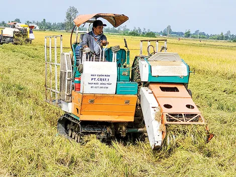 Phát huy giá trị của rơm rạ gắn với giảm phát thải khí nhà kính